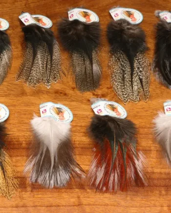 Hareline Coq De Leon
