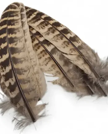 Kindale Hen Pheasant Wing Quills